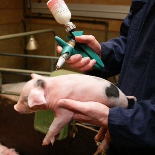 Ветеринарные препараты