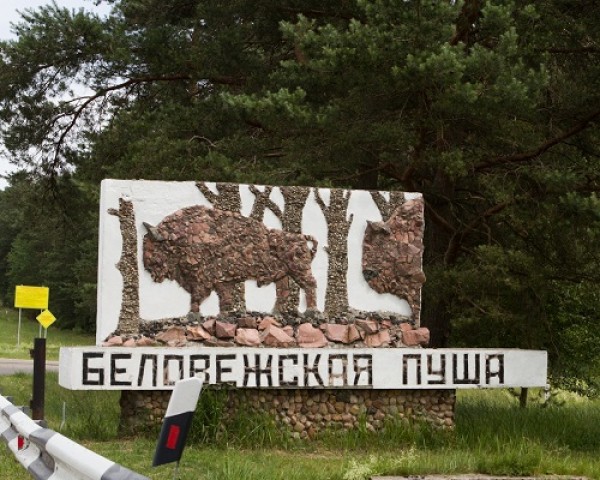 Более полумиллиона туристов ожидают в Беловежской пуще в этом году