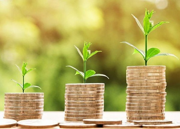 Могилевская область в I квартале перевыполнила задание по привлечению иностранных инвестиций более чем вдвое