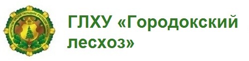 Государственное лесохозяйственное учреждение «Городокский лесхоз»