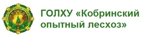 ГОЛХУ «Кобринский опытный лесхоз»