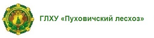 ГЛХУ «Пуховичский лесхоз»
