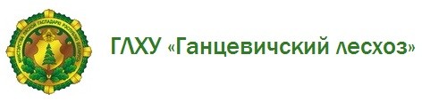 ГЛХУ «Ганцевичский лесхоз»