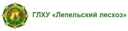 ГЛХУ «Лепельский лесхоз»