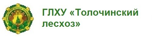 ГЛХУ «Толочинский лесхоз»