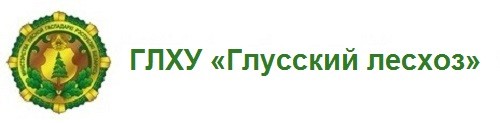 ГЛХУ «Глусский лесхоз»