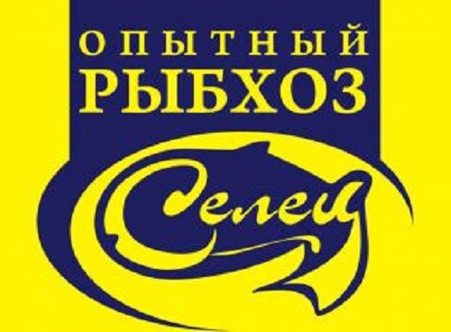 ОАО " ОПЫТНЫЙ  РЫБХОЗ " СЕЛЕЦ "