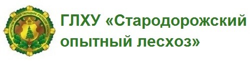 ГОЛХУ «Стародорожский опытный лесхоз»