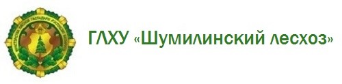 ГЛХУ «Шумилинский лесхоз»