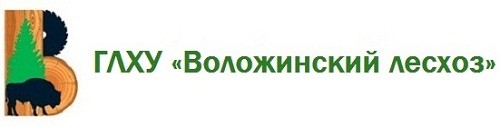 ГЛХУ «Воложинский лесхоз»