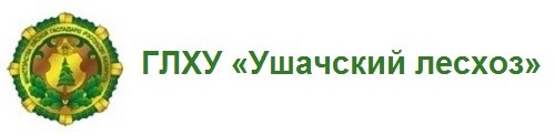 ГЛХУ «Ушачский лесхоз»