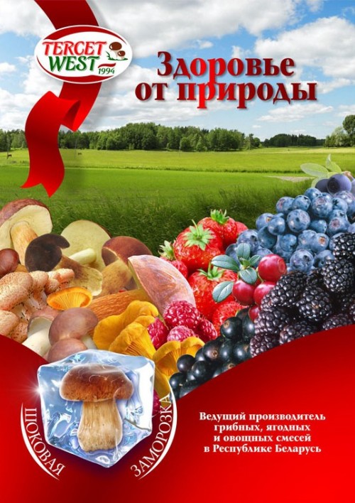 СООО «ТЕРСЕТ-ВЕСТ»