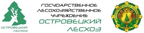 ГЛХУ "Островецкий лесхоз"