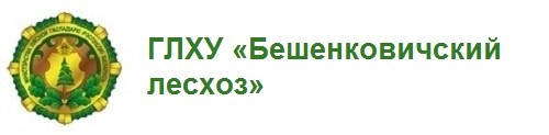 ГЛХУ «Бешенковичский лесхоз»