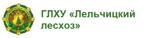 ГЛХУ «Лельчицкий лесхоз»